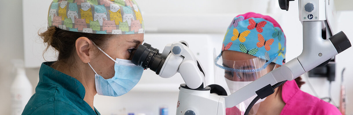 Studio-priotti-sfondo-servizi- studio-priotti-sfondo-servizi-